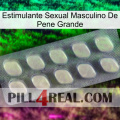 Big Penis Male Sexual Stimulant 08